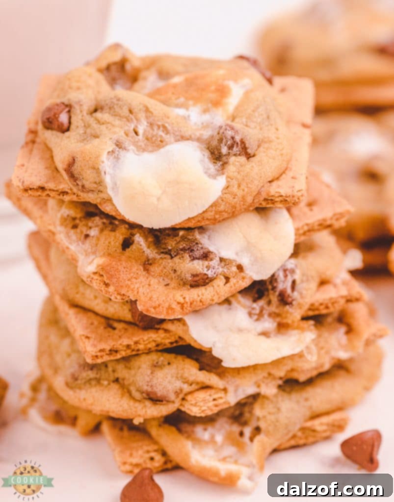 Graham Cracker S'mores Chocolate Chip Cookies with melted marshmallow.