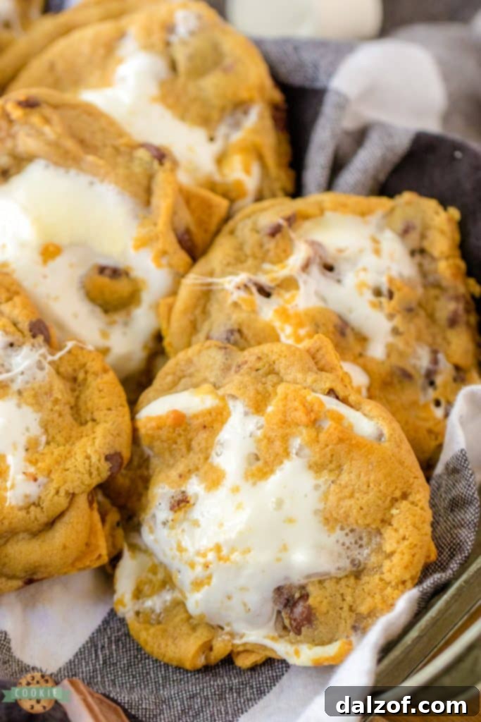 Easy 4 ingredient S'mores Cookies, quick and simple to make.