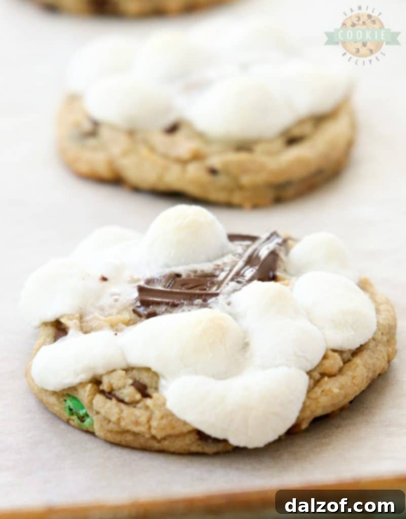S'mores Cookies jam-packed with marshmallow and chocolate.