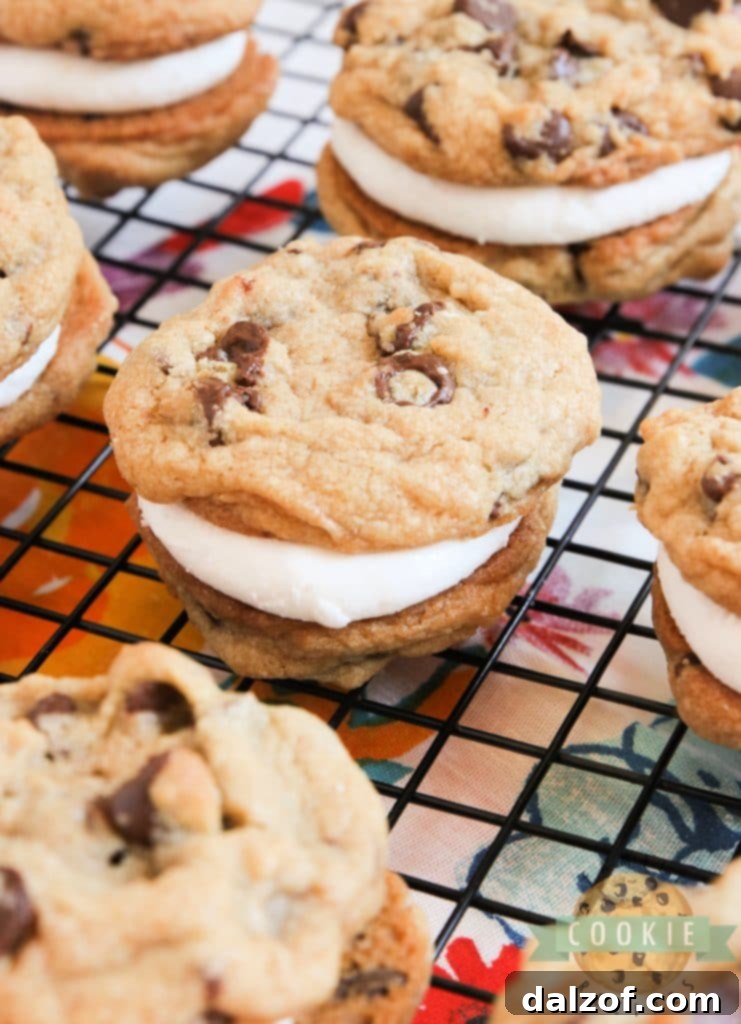 S'mores Cookie Sandwiches with graham cracker chocolate chip cookies and marshmallow filling.