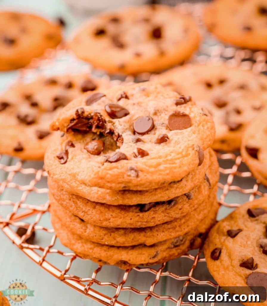 Soft and chewy Copycat Chewy Chips Ahoy Cookies.