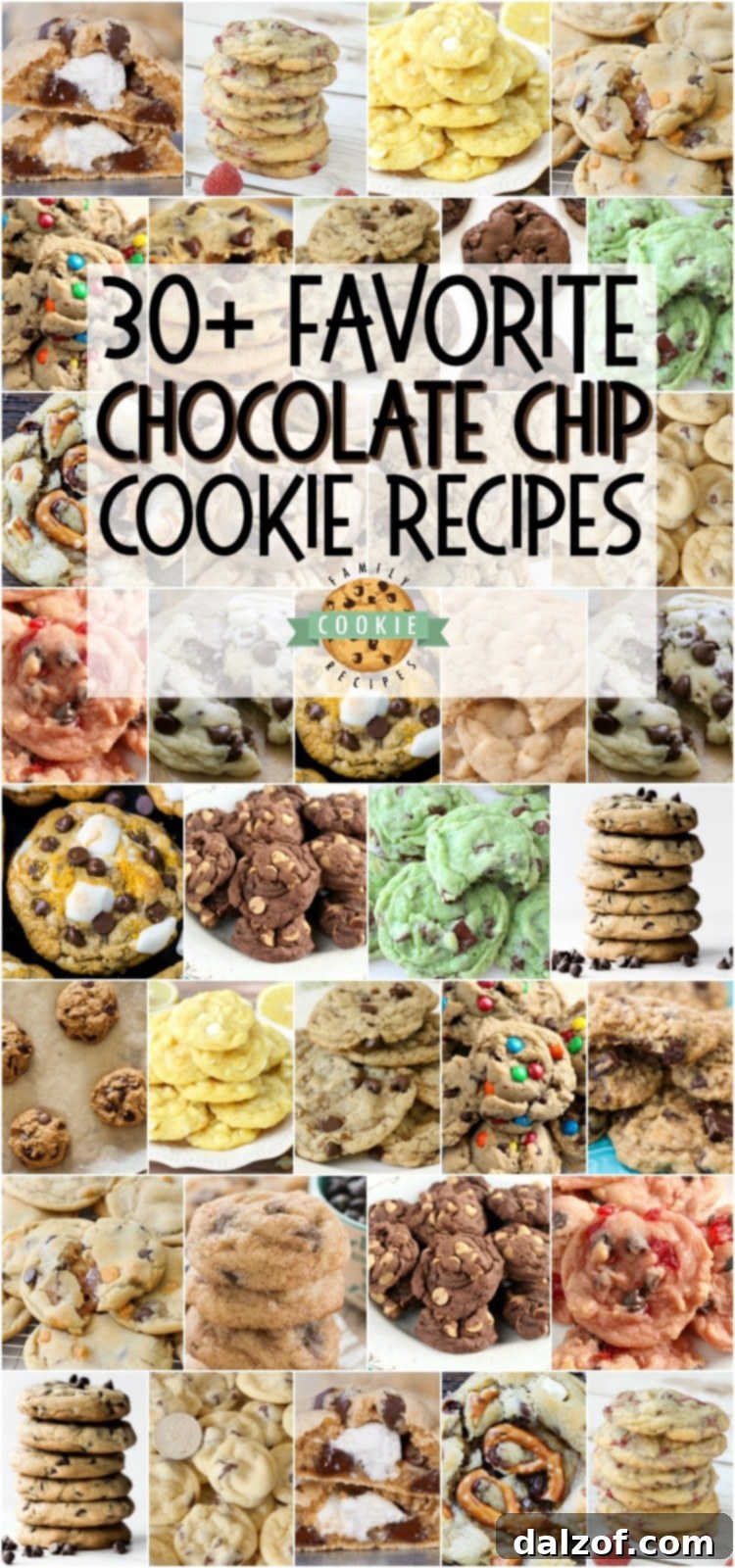 Homemade Chocolate Chip Cookie - everything from Classic Chocolate Chip, to Peanut Butter Chocolate Chip and even to Cherry Chocolate Chip cookies, this collection of best chocolate chip cookie recipes is sure to become a favorite! #cookies #chocolatechip #baking #dessert #homemade #chocolate #recipes from FAMILY COOKIE RECIPES