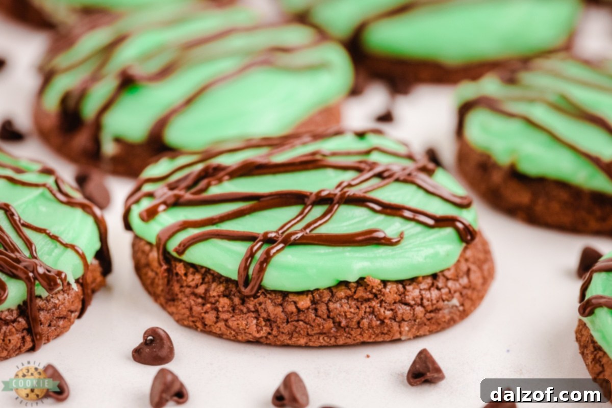 double chocolate mint cookies with chocolate chips