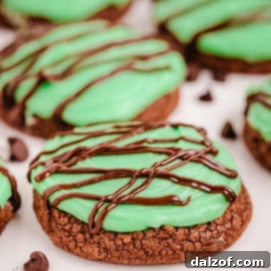 double chocolate mint cookies