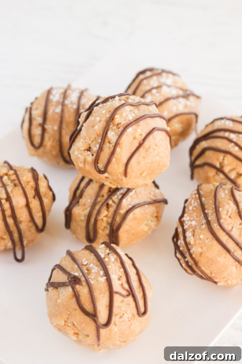 No Bake Muddy Buddy Protein Cookies are made with just 6 ingredients in less than 5 minutes. These delicious cookie have 6 grams of protein each!