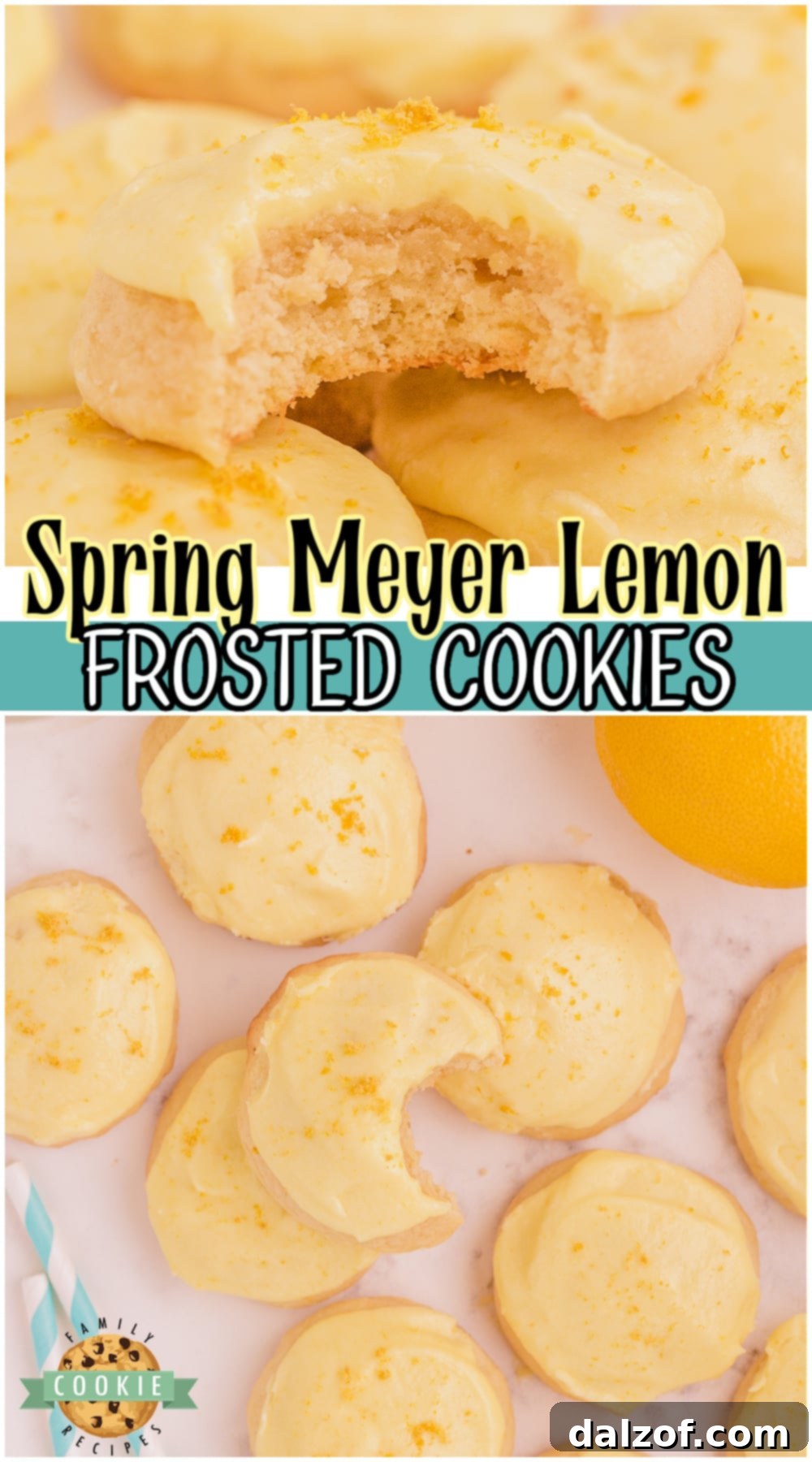 Meyer Lemon Cookies with delicious citrus flavor topped with a sweet, tangy frosting. Frosted lemon cookie recipe made with simple ingredients for a bright, fresh treat!