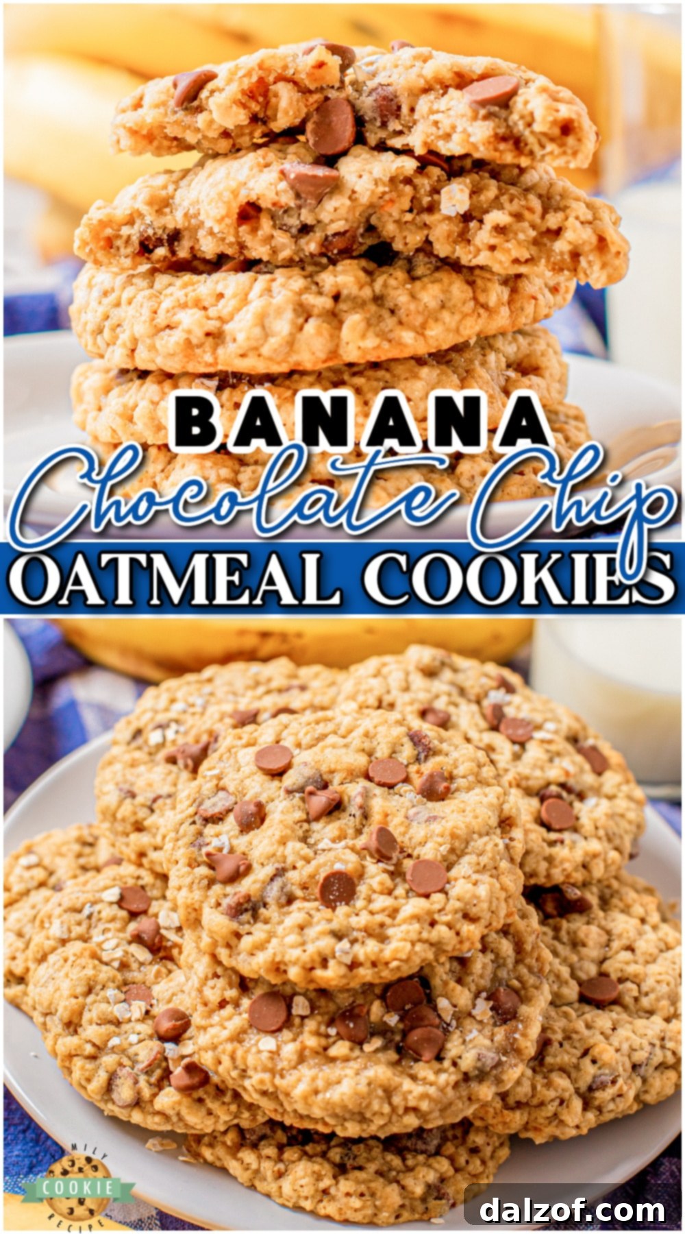 Banana Chocolate Chip Oatmeal Cookies are chewy, sweet oatmeal cookies packed with chocolate chips and banana! Fantastic buttery banana oatmeal cookies that everyone loves! 