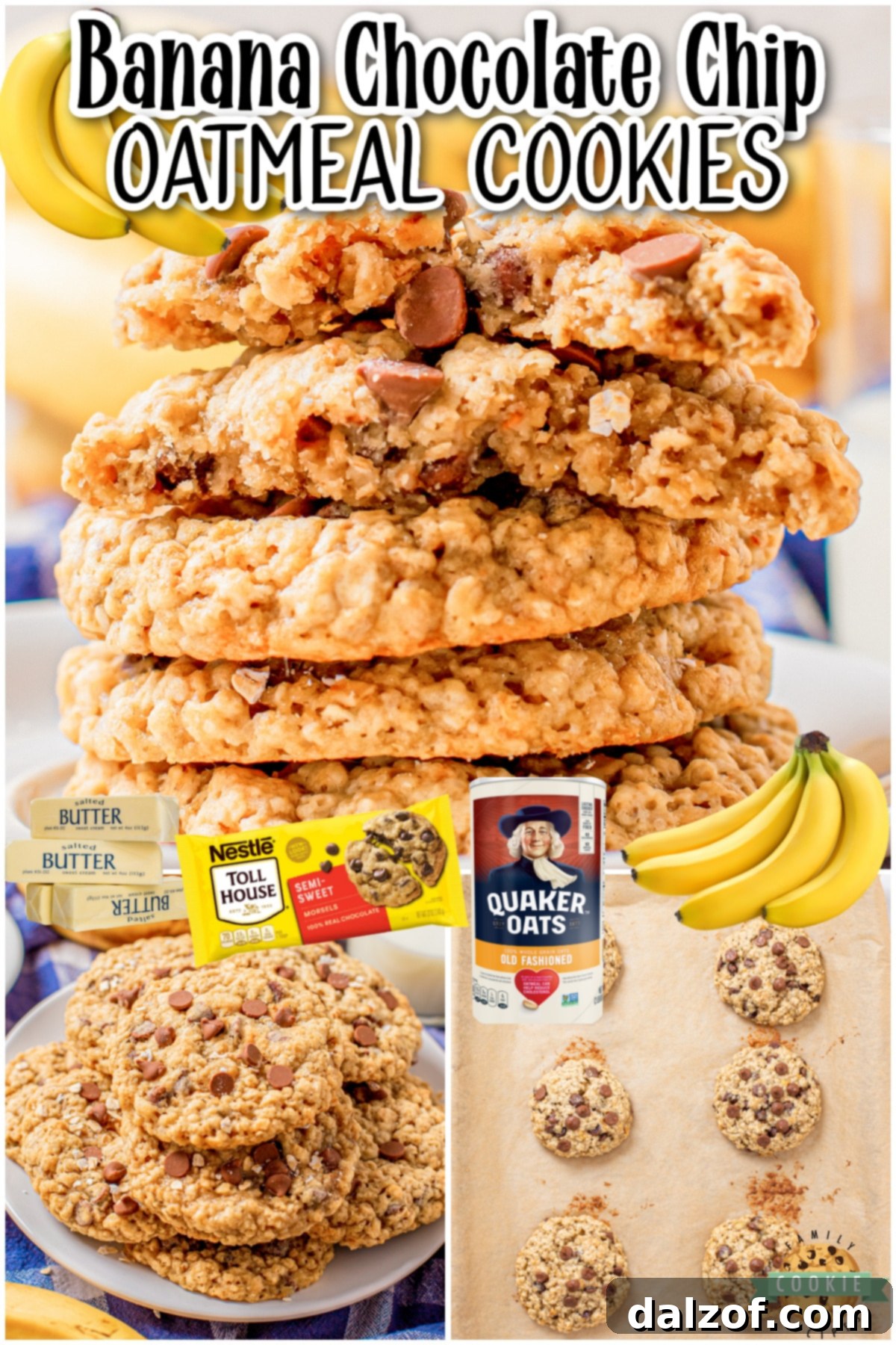 Banana Chocolate Chip Oatmeal Cookies are chewy, sweet oatmeal cookies packed with chocolate chips and banana! Fantastic buttery banana oatmeal cookies that everyone loves! 