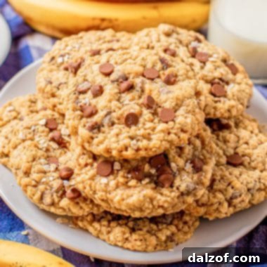 banana chocolate chip oatmeal cookies
