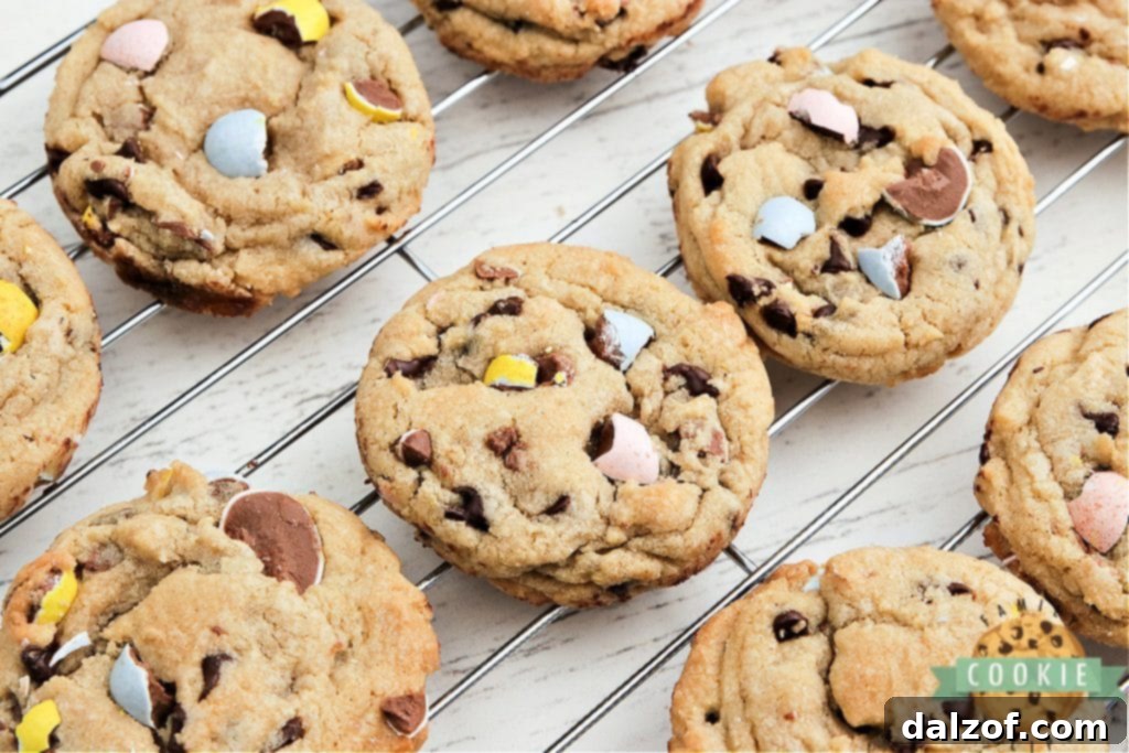 Cadbury Mini Egg Cookies are soft, chewy and filled with your favorite Easter candy! Delicious cookie recipe made with chocolate chips and crushed Cadbury Mini Eggs. 