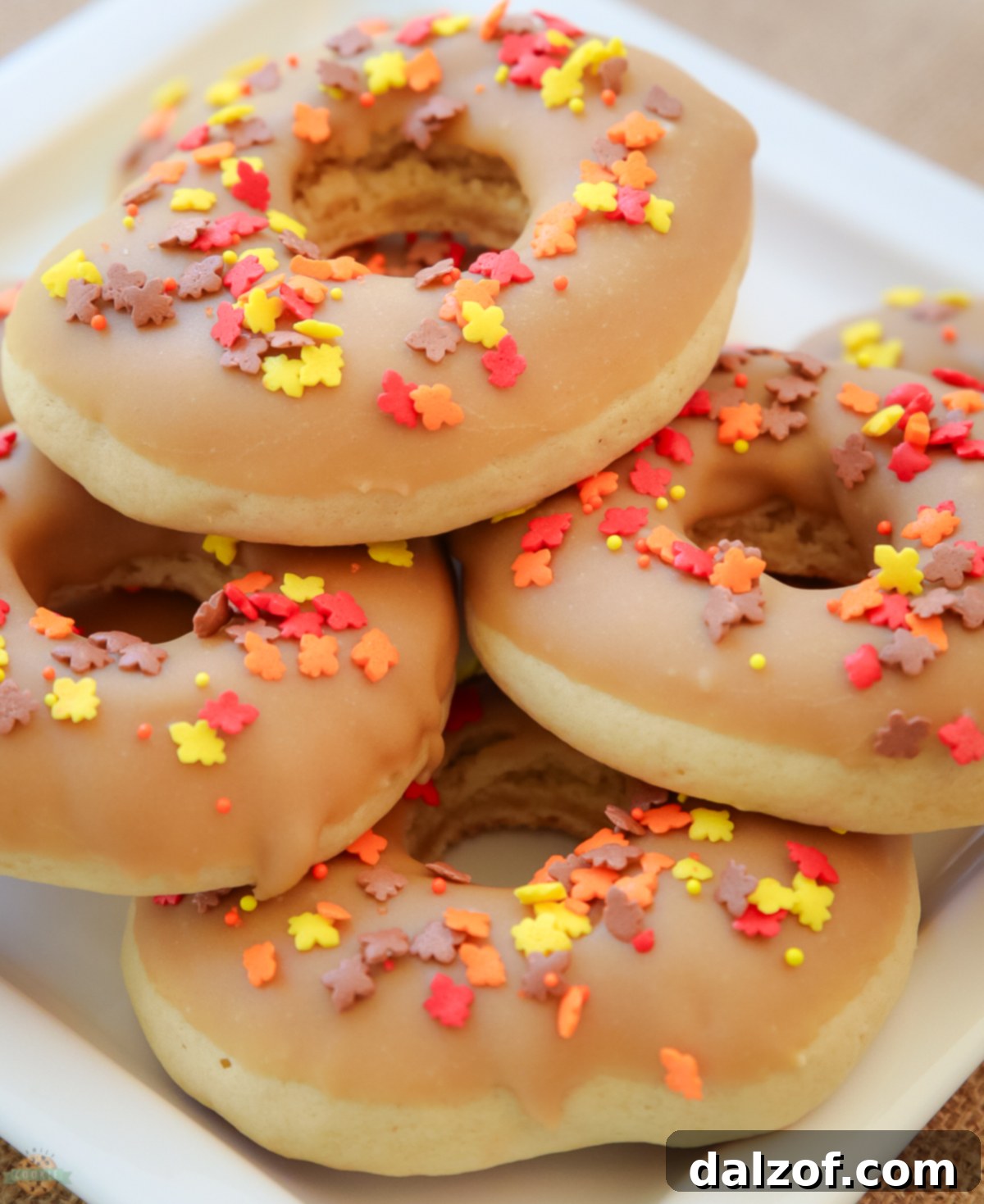 Delicious maple donut cookies arranged artfully on a plate, showcasing their soft texture and glossy maple glaze