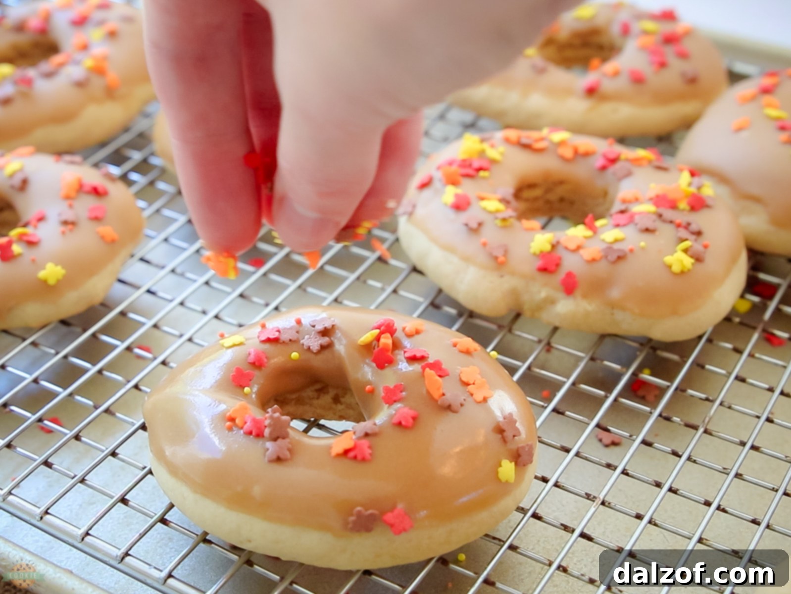 Close-up of maple donut cookies being garnished with colorful sprinkles