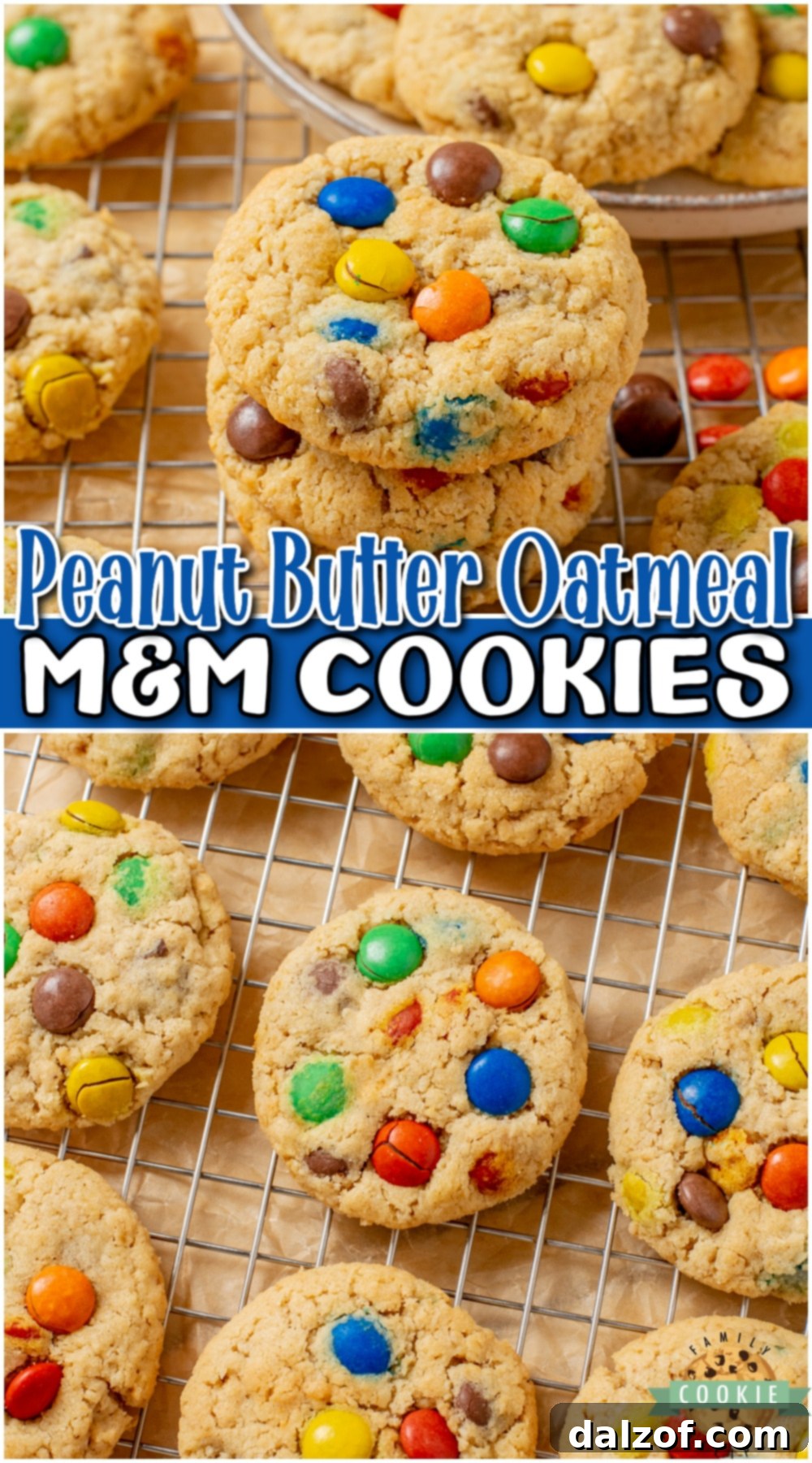 A mouth-watering image of Peanut Butter Oatmeal M&M Cookies, highlighting their soft and chewy texture, loaded with oats and M&M candies. A perfect homemade oatmeal peanut butter cookie recipe loved by all.