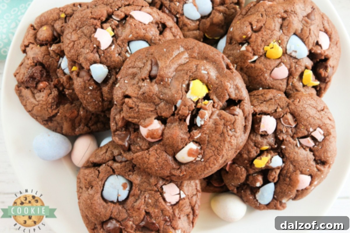 Thick, soft and chewy chocolate cookie recipe