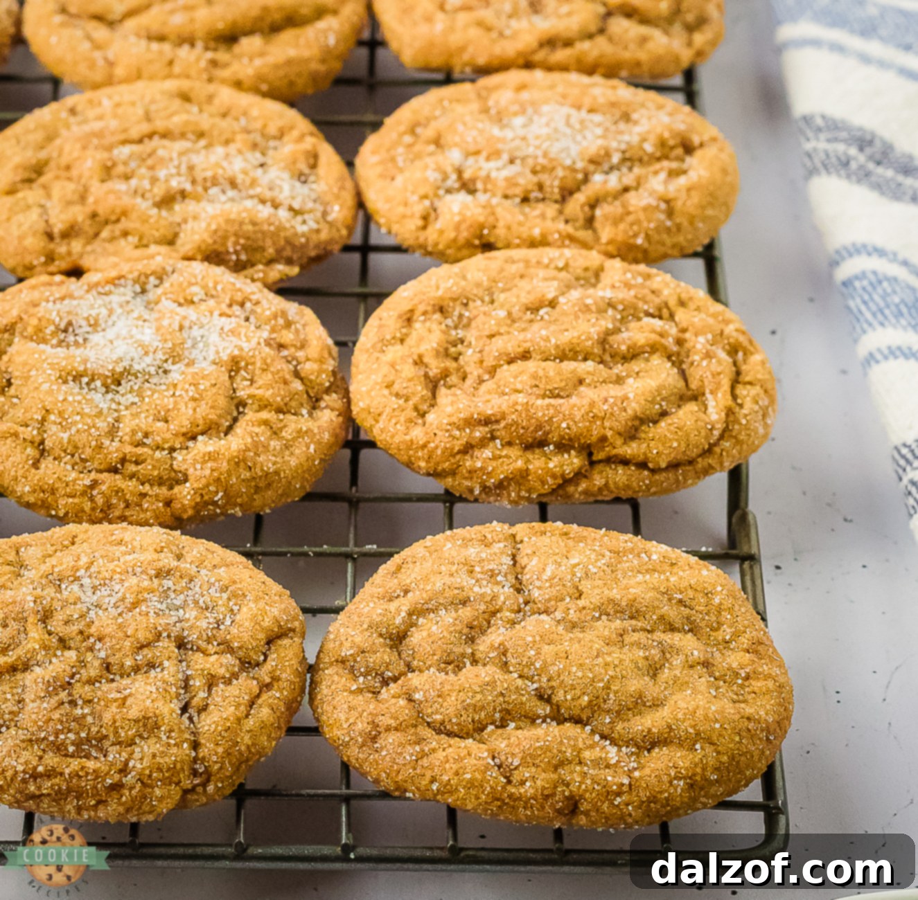 chewy gingerbread cookies on a cooling rack