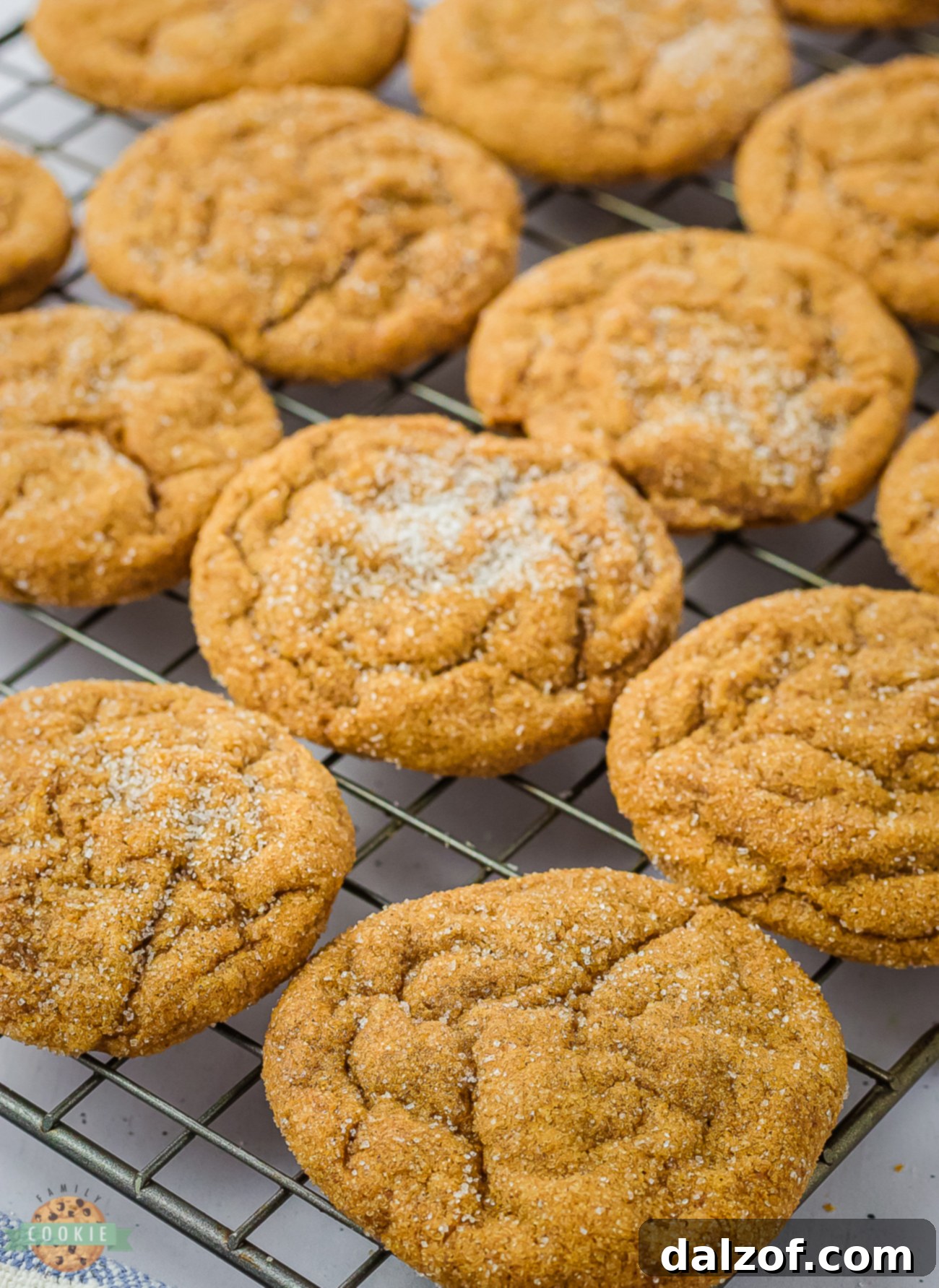 chewy gingerbread cookies rolled in sugar