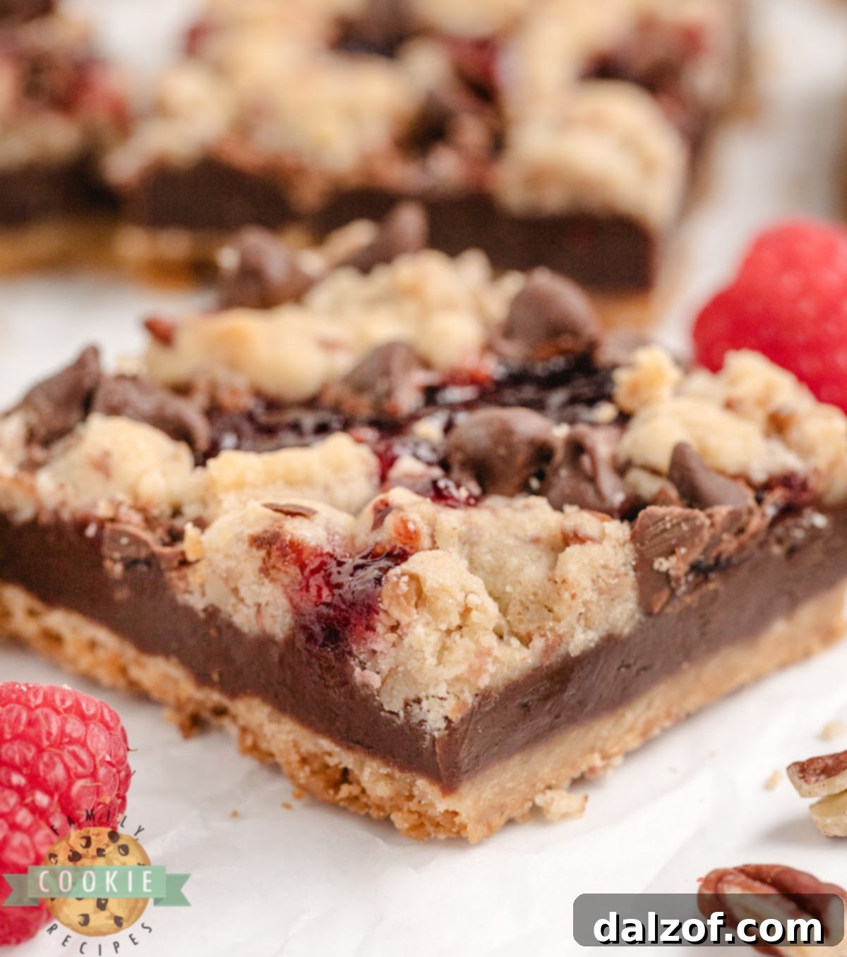 Close-up of chocolate raspberry shortbread bars with jam and chocolate chips.