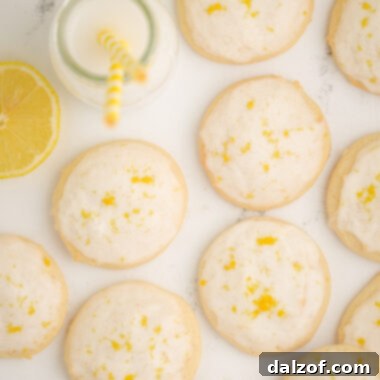 tray of buttermilk lemon cookies