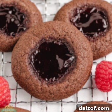 Raspberry Chocolate Thumbprint Cookies