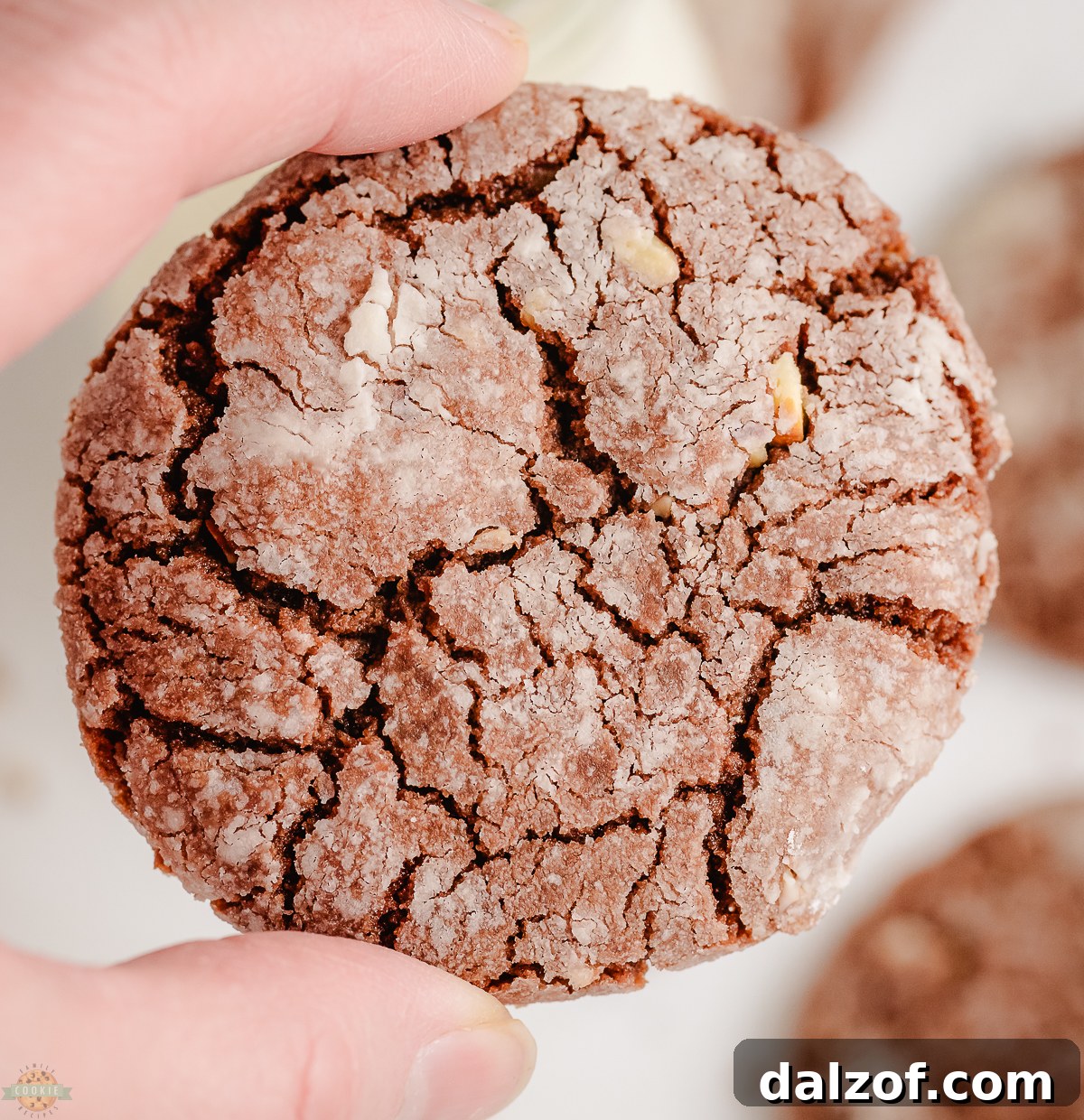 holding a Nutella Crinkle Cookie
