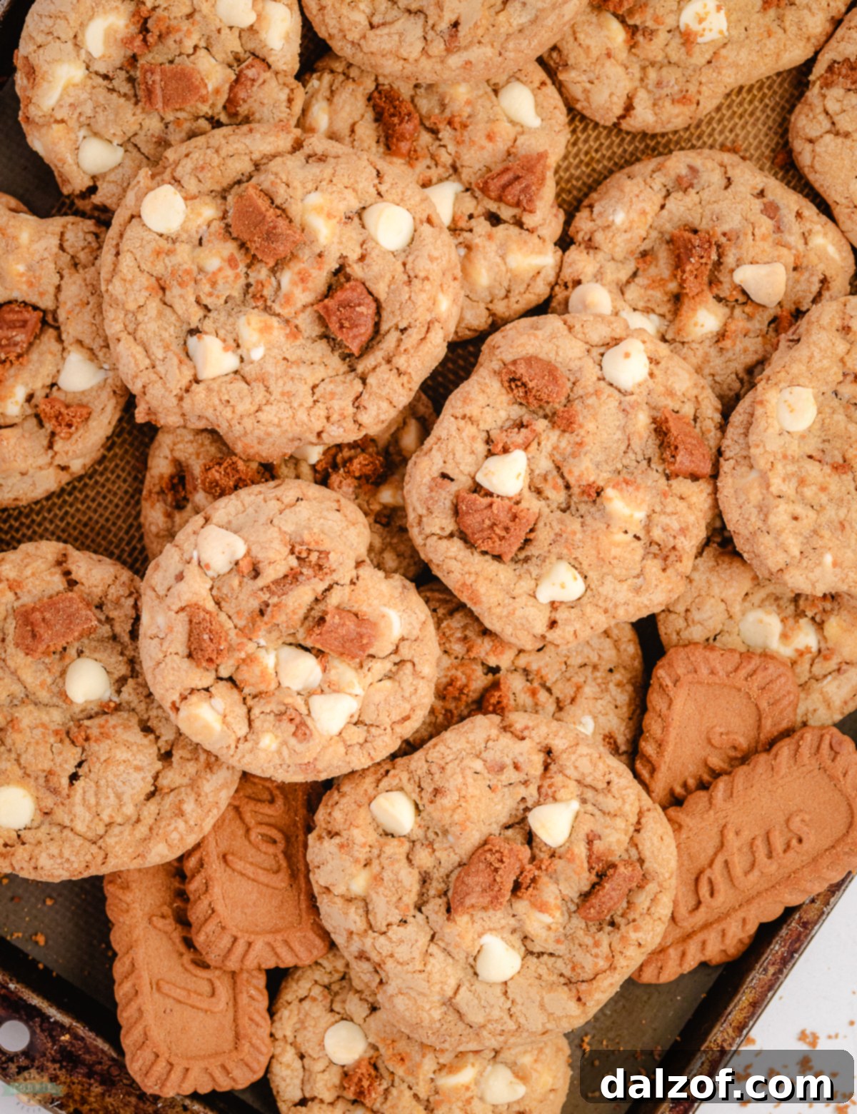 A baking tray filled with freshly baked White Chocolate Biscoff Cookies, ready to be enjoyed.