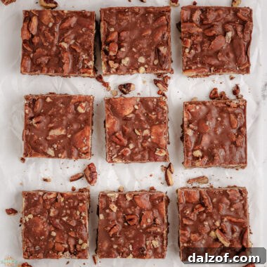 no bake easy chocolate cookie bars
