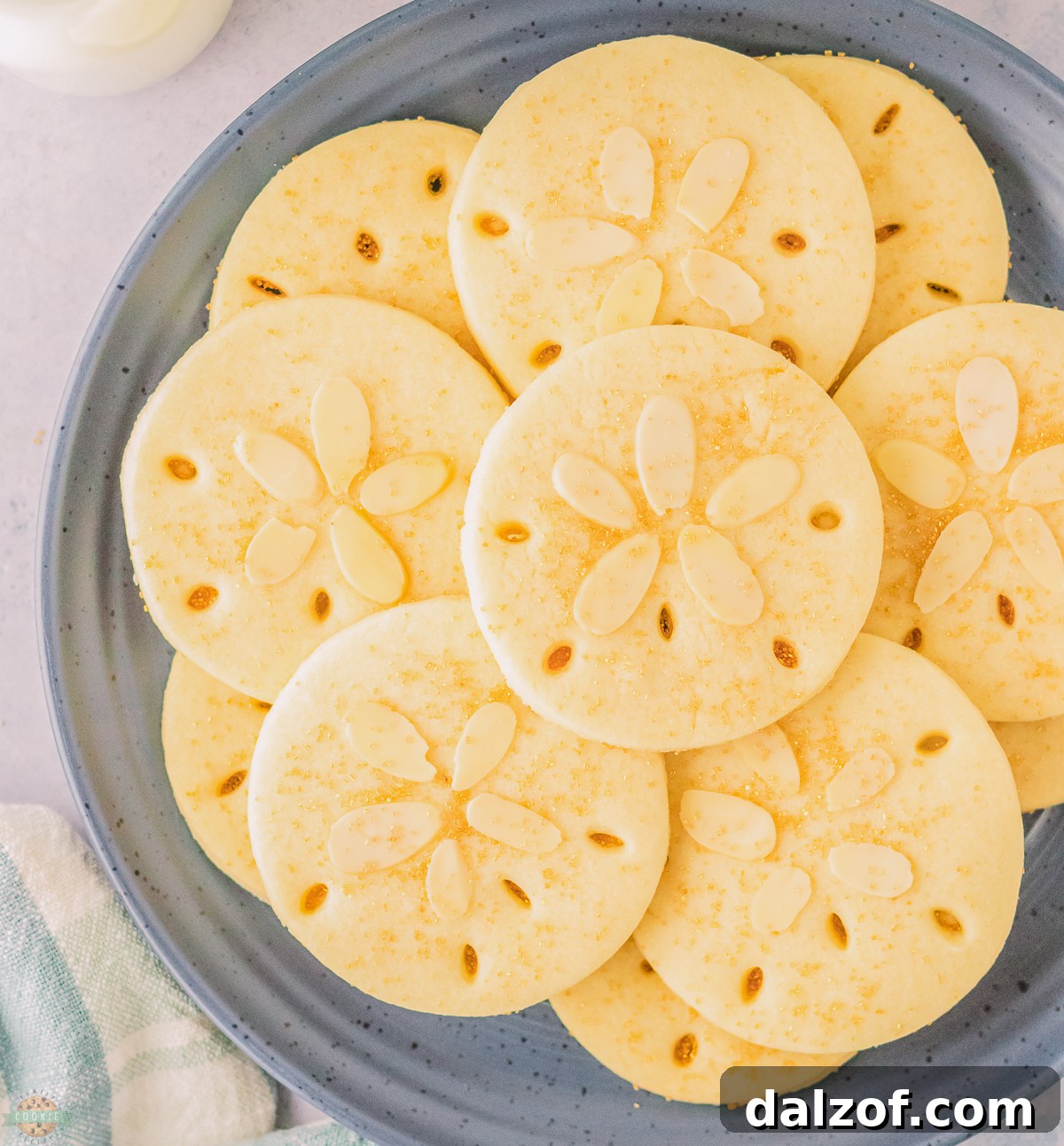 plateful of Sand Dollar Cookies