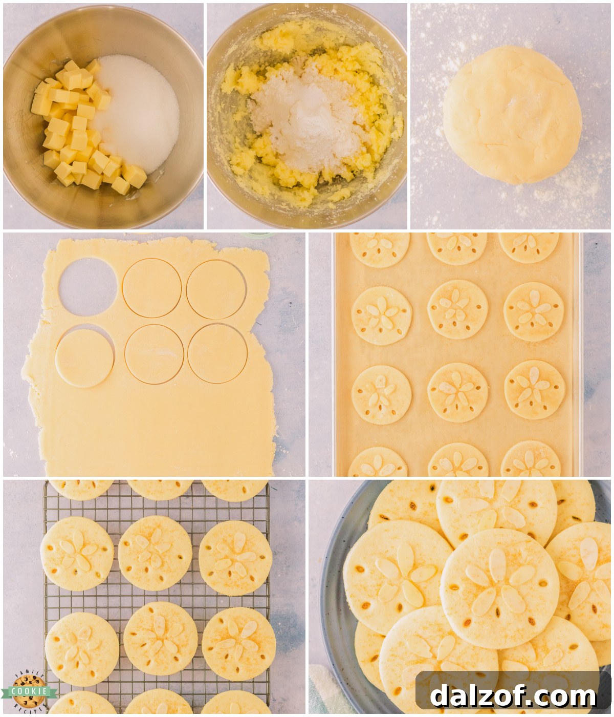 making sand dollar cookies