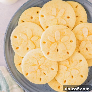 sand dollar cookies made with buttery almond cookie dough
