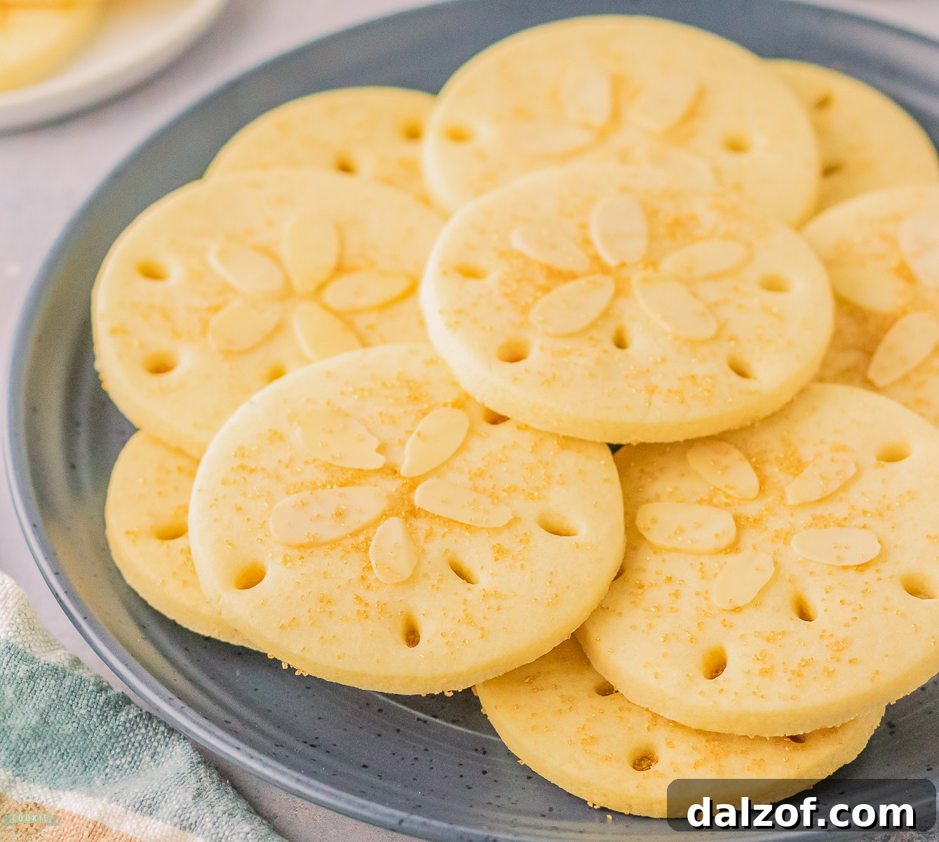plateful of sand dollar cookies with almonds